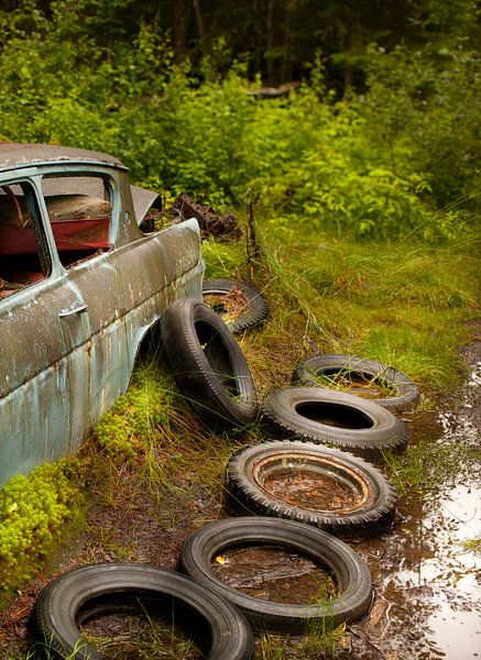 Car tyres in the forest by Lein Kaland