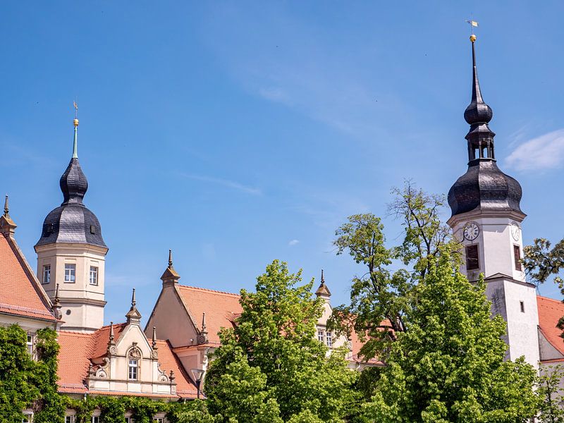 Skyline of Riesa in Saxony by Animaflora PicsStock