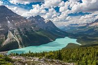 Peyto Lake (Kanada)