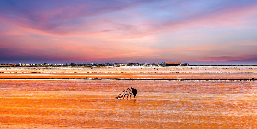 Sculpture métallique dans la saline Saint-Martin près de Gruissan par Photo Art Thomas Klee