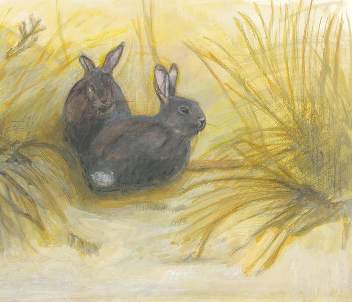 Two rabbits in the dune by Tanja Koelemij