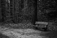 A lonely bench