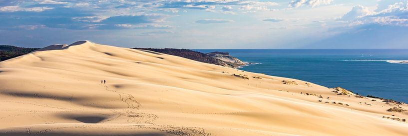 Panorama Dune du Pilat in Frankreich von Werner Dieterich
