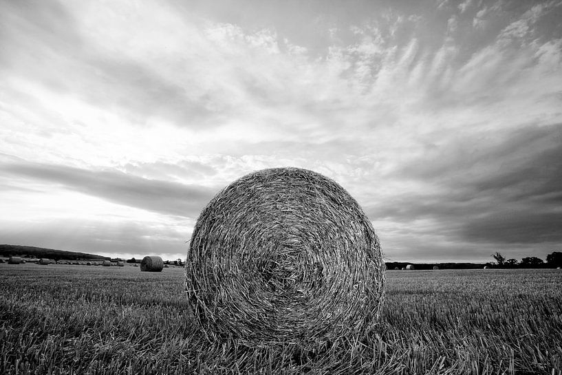 Hooirol par Benno Neeleman