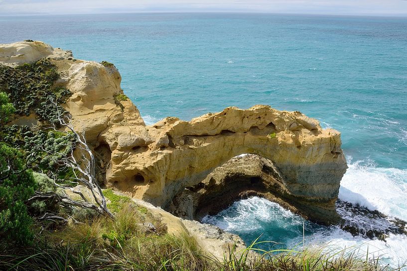 Der Bogen von Frank's Awesome Travels