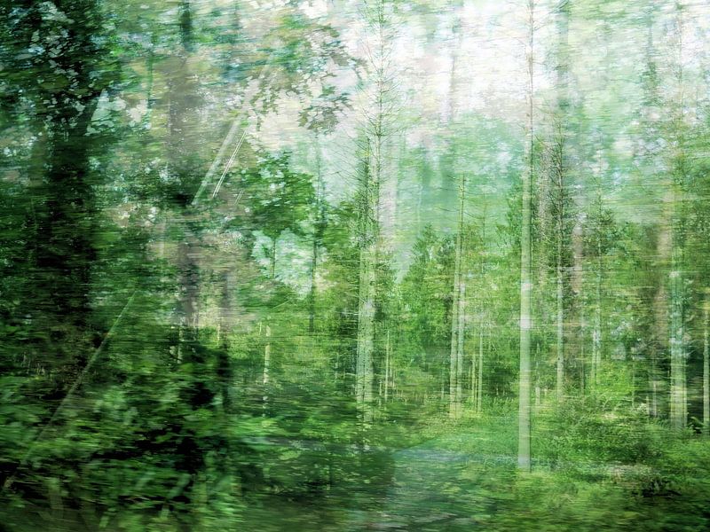 Wie die Zeit vergeht von Anita Snik-Broeken