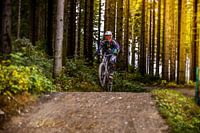 Mountain biking in the forest