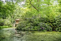 Le pavillon dans le parc des rhododendrons