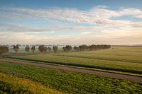 Polderlandschaft Alblasserwaard bei einem nebligen Sonnenaufgang.
