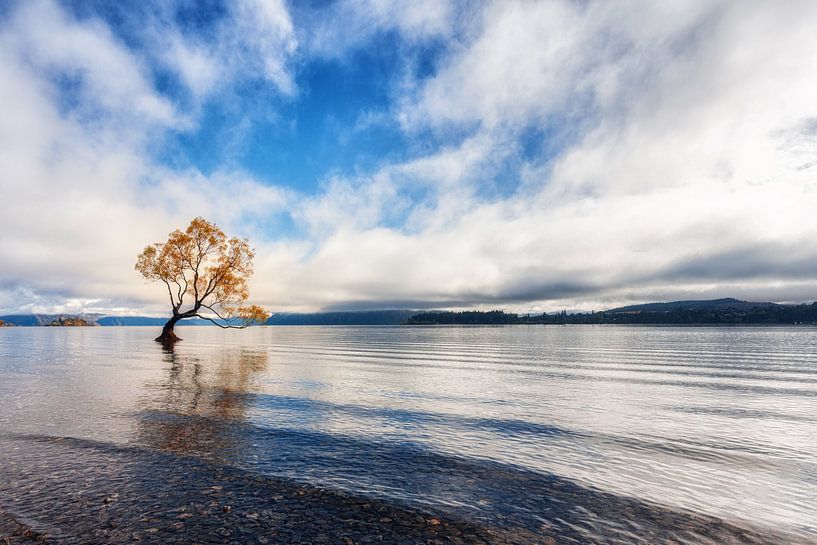 Wanakasee von Cho Tang