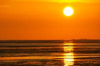 Hallig im Sonnenuntergang