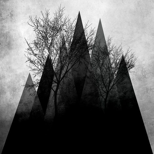 TREES VIa von Pia Schneider