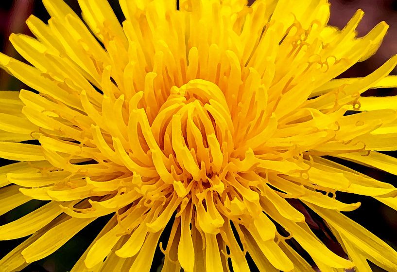 Ein Gemälde mit einem blühenden Löwenzahn. von Michar Peppenster