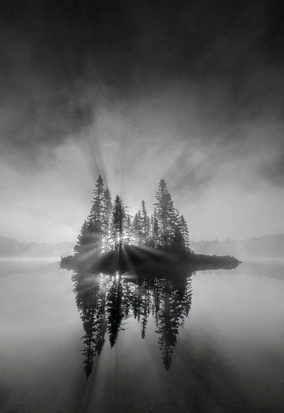 percer par Donald Luo