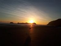 Kangoeroe op het strand zonsopkomst