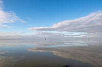 Le Sier s'approche sur les vasières.