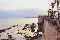 Stadtmauer von Algero, Fotografie, Sardinien