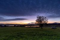 Blick über die Wiesen auf den Froschhauser See und den Riegsee in derMorgendämmerung