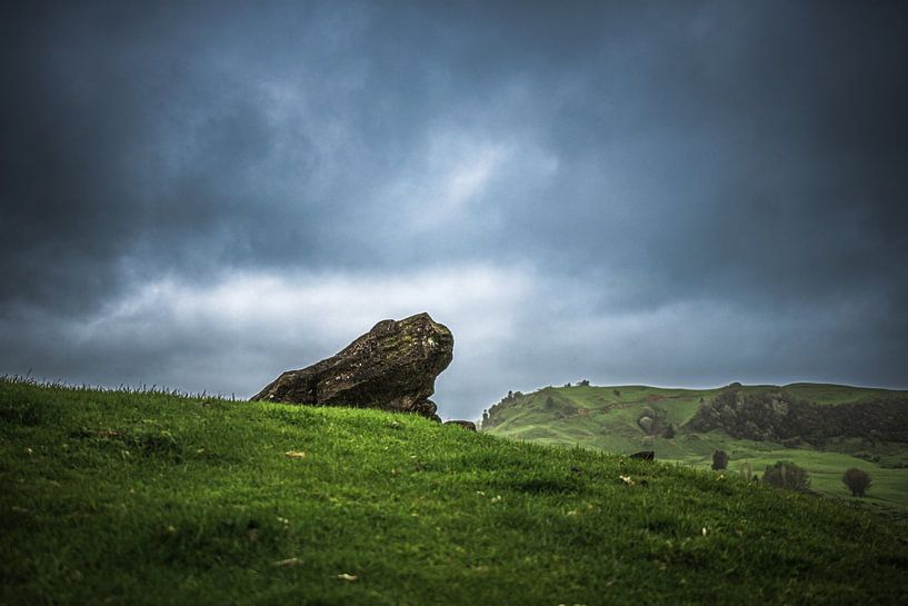 Warg Rock par DVF Photographie