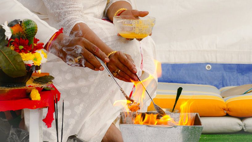 Samen von R. Khoenie