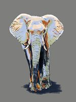 Elefant