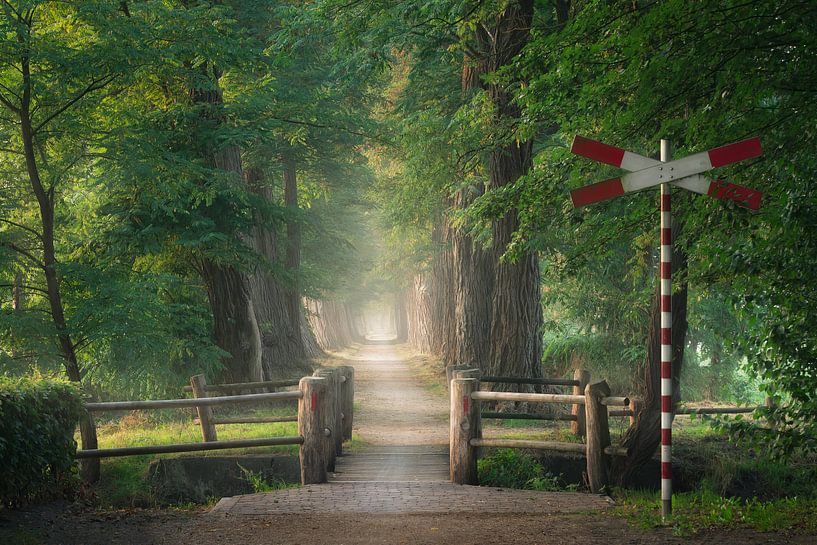 The old tramway par Faeline Creations