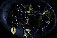 Die Schönheit der Unbeständigkeit