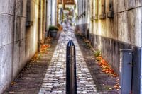 Een Schiedammertje in een steegje in Schiedam.