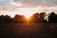 Horizon of Enchantment: Sonnenuntergang über der Achterhoek Wilderness