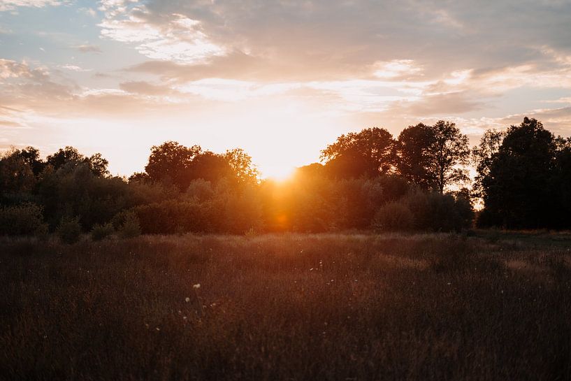 Horizon of Enchantment: Sonnenuntergang über der Achterhoek Wilderness von Heleen. Visual Storytelling