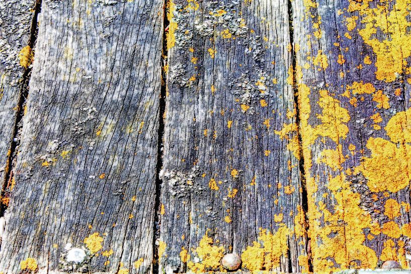 Planches en bois rustique par Hendrik-Jan Kornelis