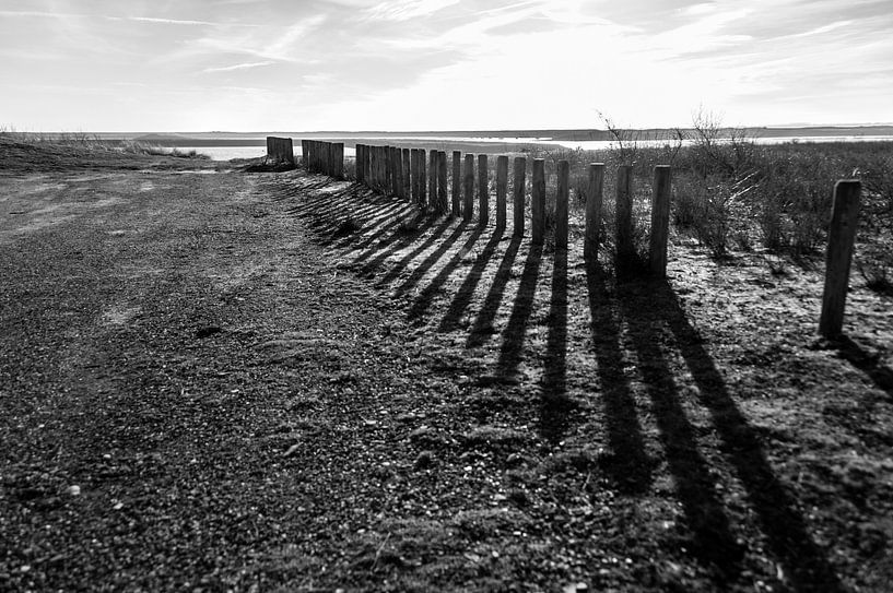 Zealand von Ooks Doggenaar