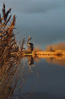Windmühle von Kinderdijk