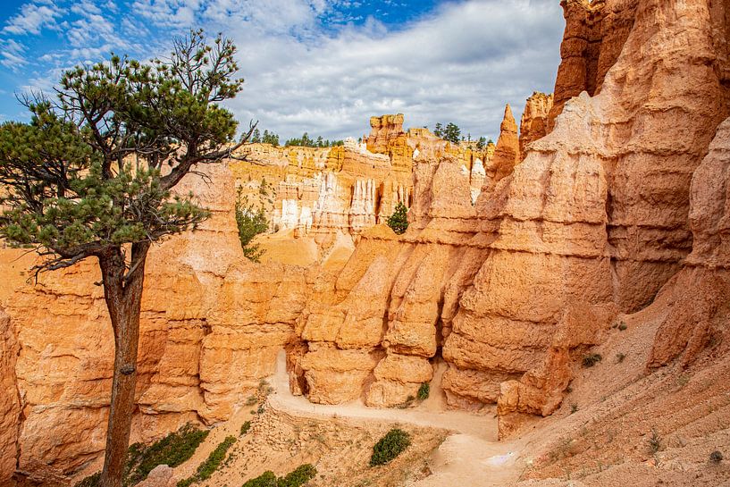 Bryce-Canyon-Nationalpark, Utah USA von Gert Hilbink