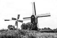 Un héritage d'un autre temps