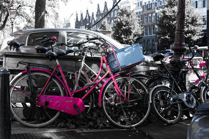 Pink Bike by Tim Briers