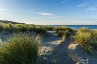 Renesse Strand | Helgras und die Nordsee