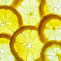 Collage of lemon slices with a white background.