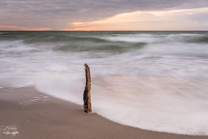 Baltic Sea coast by Tobias Luxberg