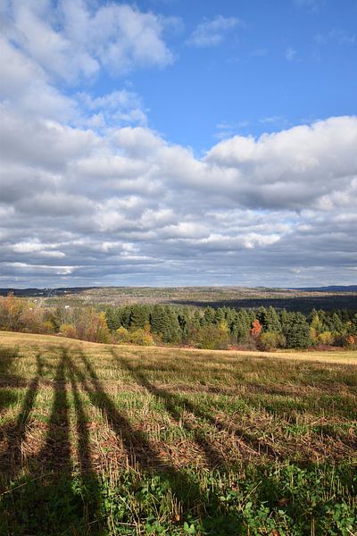 Ein Feld nach der Herbsternte von Claude Laprise