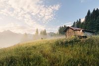 Sonnenaufgang auf der Bergwiese