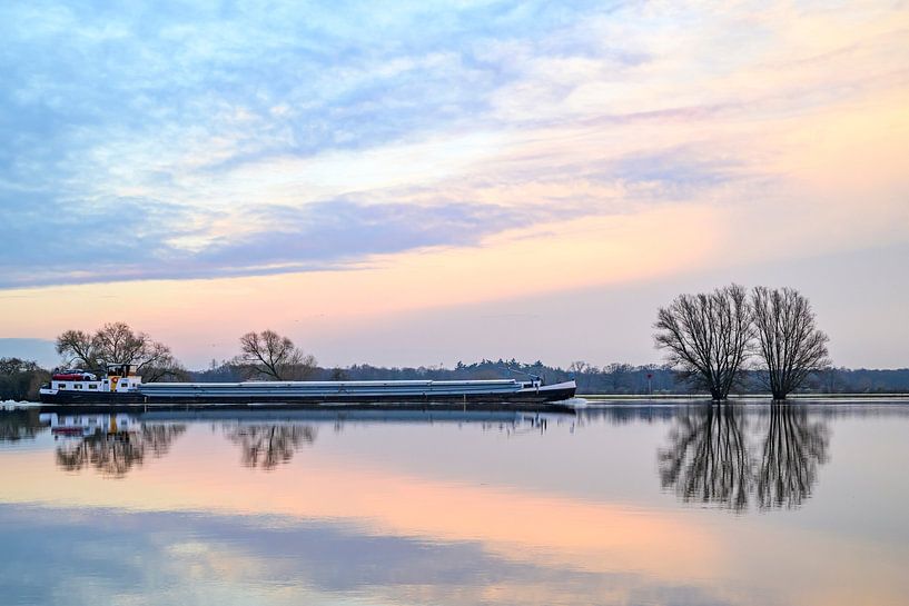 Inondations de l'IJssel avec des niveaux d'eau élevés dans les plaines inondables par Sjoerd van der Wal Photographie