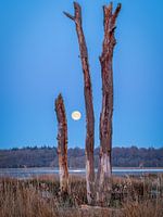Full moon in the Mepperhooilanden