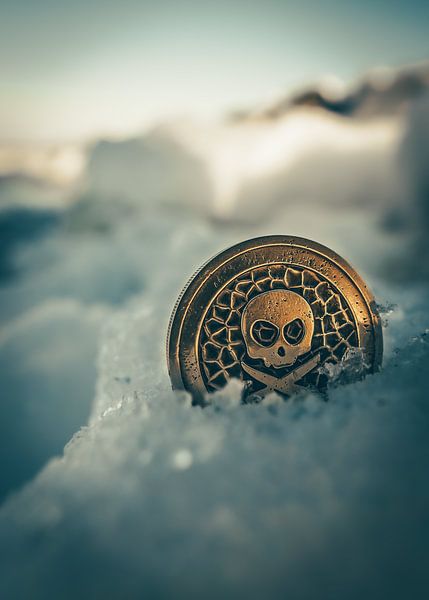 Pièce de monnaie pirate par La Photographie Utréchoise