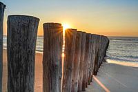 Poteaux sur la plage