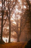 Mountainbiker im Nebel