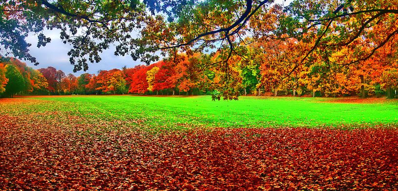Autumn panorama by Edgar Schermaul