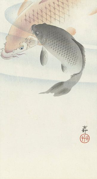 Two carps from Ohara Koson by Gave Meesters