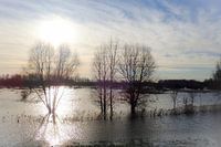 Farbe des Hochwassers