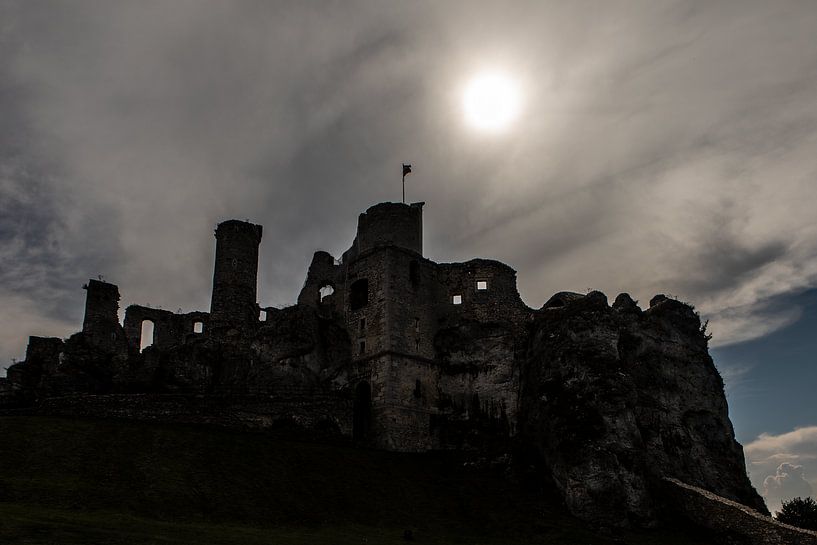 Schloss Ogrodzieniec in Polen von Eric van Nieuwland